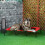 PawHut Cama Elevada para Perros Rojo 122 x 92 x 23 cm 2