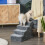 PawHut Escalera para Perro Gris 60 x 35 x 44 cm 2