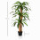 Outsunny Planta Dracaena Artificial Verde 20 x 20 x 160 cm 3