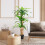 Outsunny Planta Dracaena Artificial Verde 20 x 20 x 160 cm 4