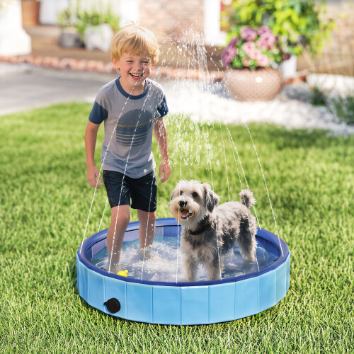 PawHut Piscina para Perro Azul 80 x 80 x 20 cm 1
