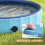 PawHut Piscina para Perro Azul 80 x 80 x 20 cm 4