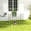 PawHut Parque de Perro Gris 63 x 91 cm 2