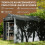Outsunny Carpa para Herramienta Gris 220 x 157 x 165 cm 3