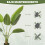 Homcom Planta Artificial Verde 15 x 15 x 109 cm 6