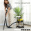 Homcom Aspirador Amarillo 48 x 48 x 48.5 cm 6
