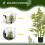 Homcom Planta Artificial Verde 15 x 15 x 90 cm 3