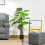 Homcom Planta Artificial Verde 17 x 17 x 120 cm 2