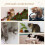 PawHut Estantes para Gato Gris 30 x 30 x 96 cm 4