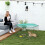 PawHut Parque Juegos Perro Gris 59 x 60 cm 2