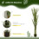 Homcom Planta Artificial Verde 17 x 17 x 190 cm 4