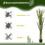 Homcom Planta Artificial Verde 17 x 17 x 190 cm 5