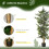 Homcom Planta Artificial Verde 60 x 60 x 150 cm 5