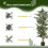Homcom Planta Artificial Verde 60 x 60 x 150 cm 6