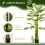 Homcom Planta Artificial Verde 19.5 x 19.5 x 190 cm 2