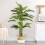 Homcom Planta Artificial Verde 19.5 x 19.5 x 190 cm 4