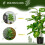 Homcom Planta Artificial Verde 17 x 17 x 95 cm 5
