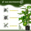 Homcom Planta Artificial Verde 17 x 17 x 95 cm 6