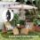 Outsunny Sombrilla de Jardín Marrón 265 x 265 x 235 cm 4