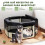 PawHut Parque para Mascota Negro 90 x 90 x 41cm 3