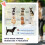 PawHut Carrito para Perro Gris 80 x 44.5 x 97 cm 3