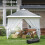 Outsunny Carpa Plegable Gris 330 x 330 x 288 cm 4