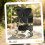 PawHut Carrito para Perro Negro 77 x 44 x 102 cm 3