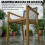 Outsunny Sillas de Jardín Marrón 59 x 55 x 86 cm 2