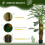 Homcom Palmera Artificial Verde 16 x 16 x 160 cm 4