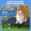 PawHut Cama Elevada Perros Azul 92 x 76 x 18 cm 4