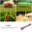 Outdoor Paracord Rope Multi Function Climbing Cord Parachute Line 8m Orange 2