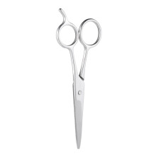 Stainless Steel Beard & Eyebrow Scissor, 12.5cm, Silver
