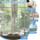 20PCS Window Restrictor Locks Child Safety 6
