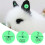 Green Ear Tags for Rabbits, Foxes, Dogs 8