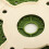 Plastic Rolling Low Stool - High Capacity Green 5