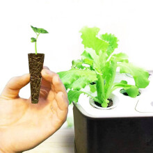 (HRD-TN0524) 30pcs Plant Seed Growth Sponges Easy to Use Seed Starting Promote Root Sponge for Gardening Plant Seedling