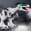 Dragon Model Wassertank 463025 cm Grün/Weiß 4