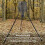 Weatherproof Deer Feeder Cage Protective Guard Quick Lock Design for Forest Use 4