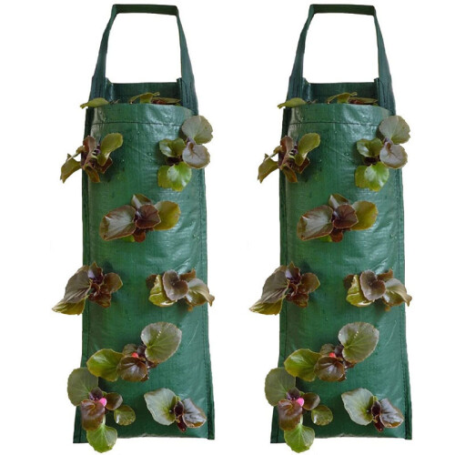 Hängende Pflanzsäcke mit 8 Taschen - 2er-Pack