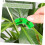 Plant Bender stammestøtteclips 35-dele grass color 2