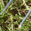 U-formede hagepinner, 50 stk. Silver 10 cm 4