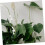 360 Grad verstellbare Pflanzentrainer-Clips White 4
