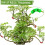 Plant Bender stammestøtteclips 35-dele grass color 5