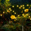 Solarbetriebene Glühwürmchen-Lichter, 10 LEDs, 4er-Pack WarmWhite 6