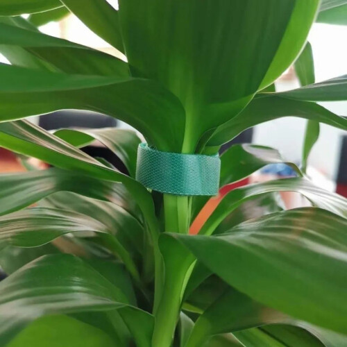 Grüner Klettverschluss für vielseitigen Einsatz  10 mm 2