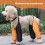 Wasserdichte Hundegamasche XL - Nylon/Poly 4