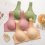 (bean paste, 36) Front Closure Wire-Free Bras for Older Women, Comfortable & Convenient 4