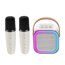 Karaoke-audiosysteem met Bluetooth 5.3, RGB-verlichting, 1 tot 2 draadloze microfoons, draagbare KTV-apparatuur voor thuisgebruik