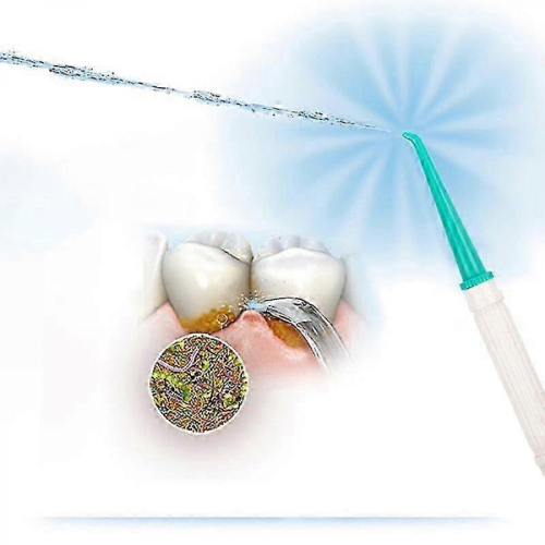 Kit de brosse à dents pour spa dentaire, hydropulseur et jet dentaire 2