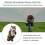 Interactive Singing Dancing Yellow Cat Doll Toy Gift for Kids 3
